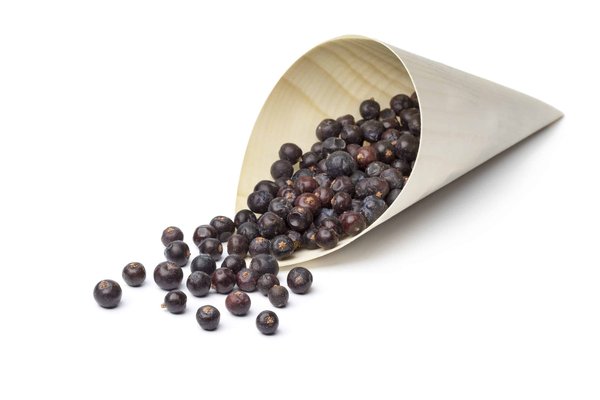 comment choisir le bon sac à main pour chaque occasion